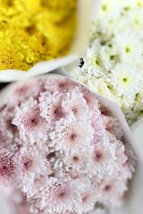 A bouquet of several white chrysanthemums wrapped in white paper. The flowers are soft and delicate. The petals are densely spherical. Valentine's Day