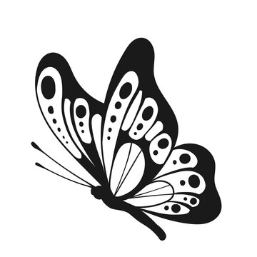recommend clip art: black and white butterfly