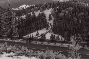 Fototapeta premium Landscapes - Forest - Europe, Romania, Suceava region 