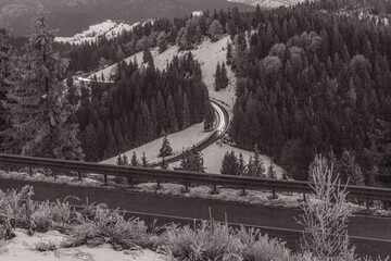 Obraz premium Landscapes - Forest - Europe, Romania, Suceava region 