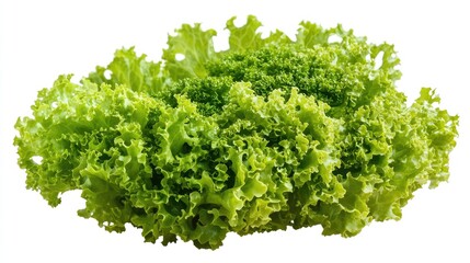 Obraz premium Fresh Green Lettuce Close-Up on White Background Ideal for Healthy Eating or Salad Related Themes