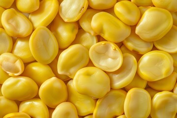 Fototapeta premium Big amount of yellow raw fava beans. Image illustrated food for advertisement