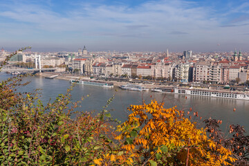 Budapest left bank from Gellert Hill above tree branches, Hungary