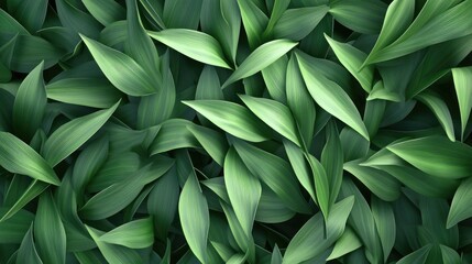 Obraz premium Lush green foliage background showcasing vibrant tropical leaves in a serene garden setting ideal for nature themed designs
