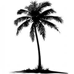 Silhouette of a palm tree against a white background.