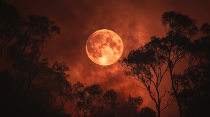 Moon glowing orange through bushfire smoke amidst silhouetted trees in a dramatic nocturnal landscape