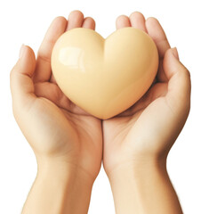 PNG Charity hand love copy space.