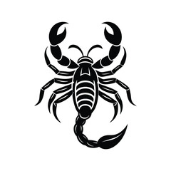 Minimalist Scorpion Lineart Vector Illustration with Curved Tail and Pincers for Modern Design