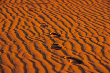 Footprints traverse rippling desert sand illuminated by the warm glow of the golden hour. Perfect for themes of adventure, travel, and nature's beauty. Ideal for promotional and advertising use.