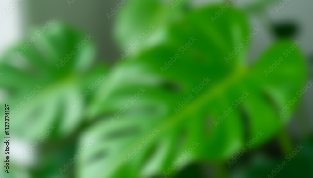 Poster monstera leaves with selective focus add a pop of color to interior decorating compositions and back