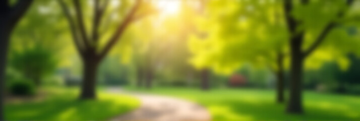 Fototapeta premium Blurred bokeh of trees in a lush morning garden with greenery and vibrant colors of spring or summer seasons._00001_