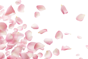 PNG Petals background design white.