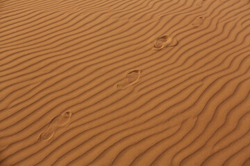 Footprints trail across rippled desert sand dunes, evoking a sense of journey and solitude. Perfect for concepts of adventure, exploration, and nature's beauty. Ideal for promotional and advertising