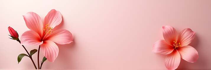 Naklejka premium A flower can be used as a simple yet effective element in a background decoration design with a solid base._00003_