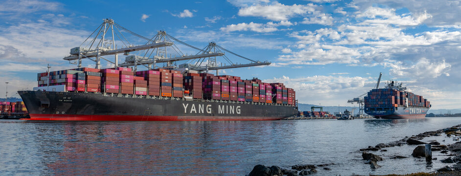 Two large cargo ships docked at the Port of Oakland, loaded with numerous colorful shipping containers. The ship on the left is labeled "YANG MING," and the ship on the right is labeled "CMA CGM."