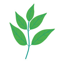 Decorative branch with green leaves illustration