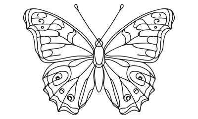 Intricate Line Art Drawing of a Butterfly, Black and White Coloring Page, Detailed Insect Illustration, Symmetrical Wing Design, Elegant Nature Artwork