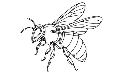 Intricate Line Art Drawing of a Honeybee in Flight, Black and White, Isolated on White Background