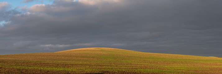 Gold crops hill and cloudy sky in the background