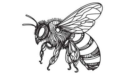 Isolated close-up of a detailed black and white cartoon bee illustration with wings outstretched