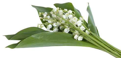 Obraz premium Bouquet de brins de muguet