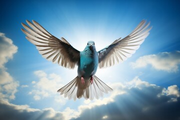 Silhouette of a bird in flight against a gradient of blue symbolizing freedom and aspiration