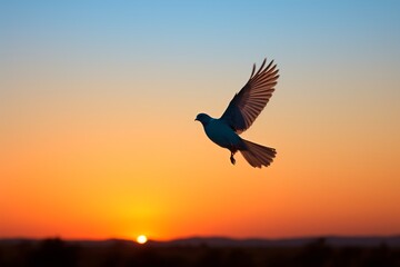 Obraz premium Silhouette of a bird in flight against blue hues symbolizing freedom and aspirations