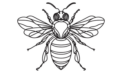 Obraz premium Isolated closeup of a honeybee on a white background, ready for vector illustration