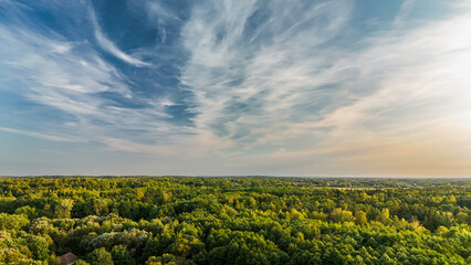 Dramatic Sky Over Lush Forest