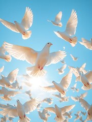 Obraz premium Graceful white doves soar blissfully in a clear blue sky
