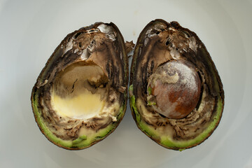 Close up of foul, rotten and decomposed avocado on white table. Fruit look ok from the outside. After cutting in halves, there was this unpleasant surprise.