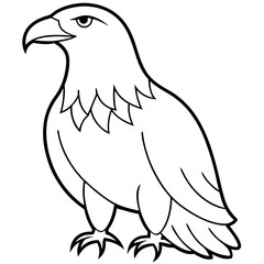 eagle line art isolated on white
