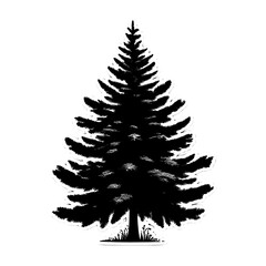 Obraz premium Pine tree botanical silhouette vactor illustration transparent background