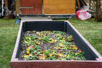  A raised garden bed with green and yellow strawberry plants, set in a backyard with grass, a wooden shed, and tools in the background.