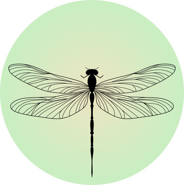 Minimalist dragonfly line art illustration on a green circular background, elegant insect outline icon, botanical aesthetic vector for logo and nature design