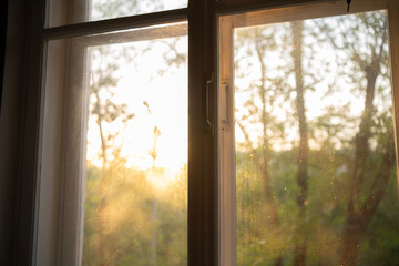 Warm sunlight floods into the room through the window, creating a bright and inviting atmosphere in...