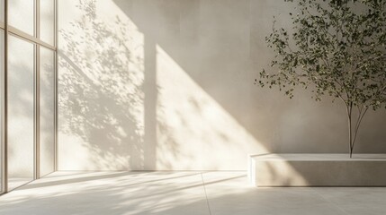 Obraz premium Minimalist gray wall with dappled sunlight