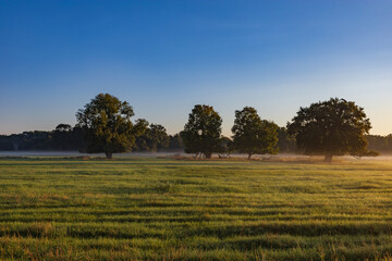 Beautiful autumn landscape at sunrise. Clearing fog. Pohansko Czech Republic Europe