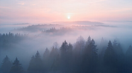 Obraz premium Misty sunrise over serene forest hills