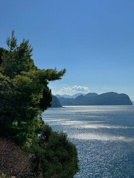 Adriatic sea and coast overgrown pines