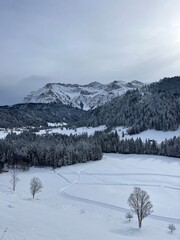 Verschneite Winterlandschaft in ruhiger Natur