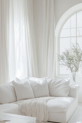 Elegant Minimalist White Living Room with Serene Design