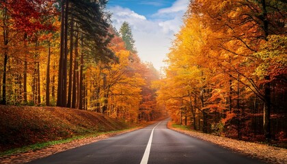 Fototapeta premium road in autumn