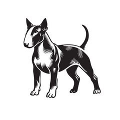 Bull Terrier standing silhouette vectors, High-Quality Vector Black Silhouettes of Bull Terrier Dog in Standing, Side Profile, and Front Profile Positions - Perfect for Graphic Design and projects