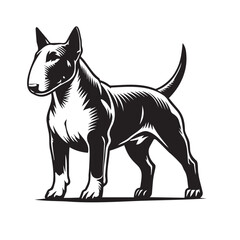 Bull Terrier standing silhouette vectors, High-Quality Vector Black Silhouettes of Bull Terrier Dog in Standing, Side Profile, and Front Profile Positions - Perfect for Graphic Design and projects
