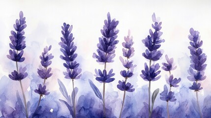 Watercolor painting of lavender flowers in shades of purple, creating a serene and calming image. The soft hues and delicate brushstrokes evoke a sense of tranquility.