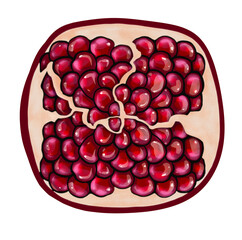 Digital drawing pomegranate cut burgundy red color graphics food tropical fruit clip art isolated hand drawn graphic stylized painting detailed realistic cartoon