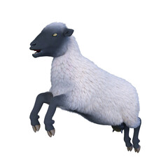 ヒツジ　3DCGレンダリング