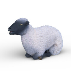 ヒツジ　3DCGレンダリング