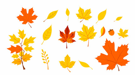 Fototapeta premium Forest leaves on a white background. Autumn composition. Illustration hello autumn.
